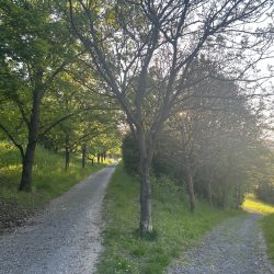 Park